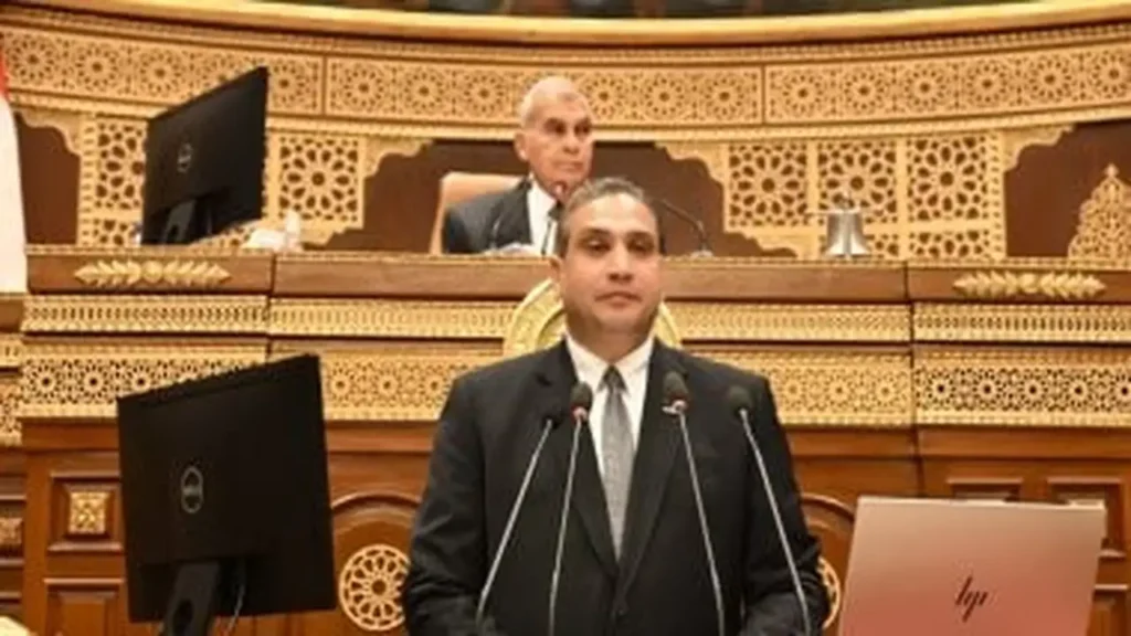 إعفاء جمركي.. مقترح برلماني يمنح المصريين بالخارج ميزة استيراد الهواتف المحمولة